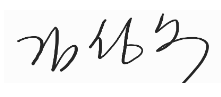 CEO signature